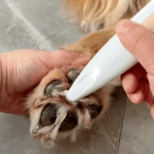 ✨Pet Precision Trimmer – Waterproof, Rechargeable Grooming Shaver with LED for Paws, Eyes, Ears, Face & More | For Small & Large Dogs & Cats