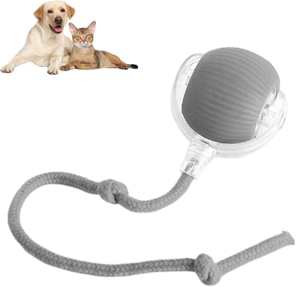 Automatic cat teasing ball🐱bite-resistant ✅food-grade