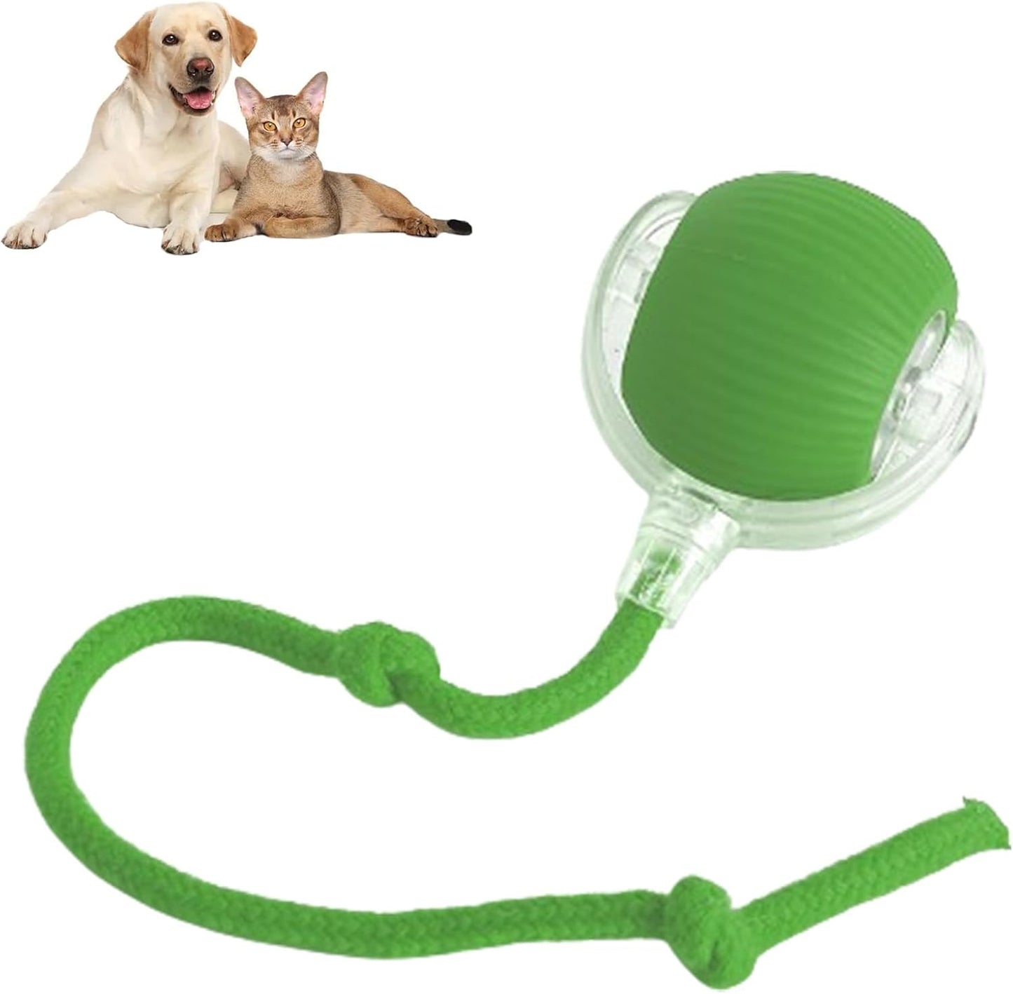 Automatic cat teasing ball🐱bite-resistant ✅food-grade