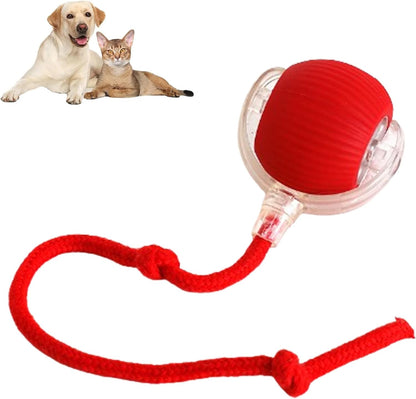 Automatic cat teasing ball🐱bite-resistant ✅food-grade