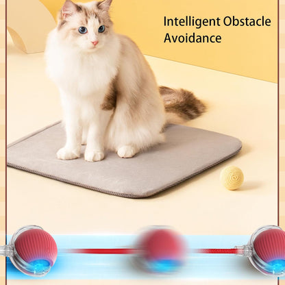 Automatic cat teasing ball🐱bite-resistant ✅food-grade