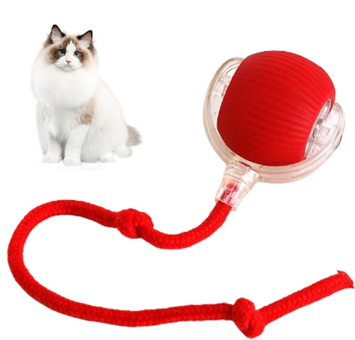 Automatic cat teasing ball🐱bite-resistant ✅food-grade